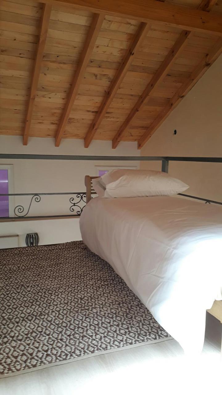 Ferienwohnung San Martin Garden San Martín de los Andes Exterior foto